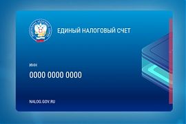 ФНС России и Корпорация МСП тестируют новый интерфейс ЕНС в ЛК юрлиц